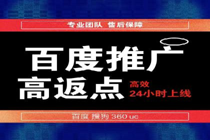 搜索引擎营销（SEM）在本地市场的投放案例